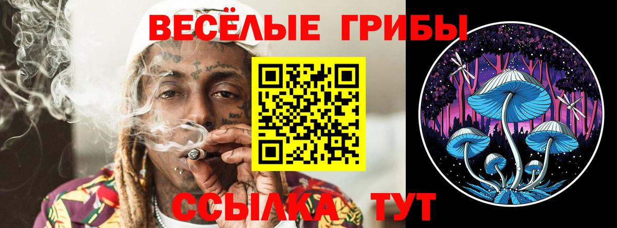 Жигулёвск  Псилоцибиновые грибы Cubensis  Псилоцибиновые грибы мухоморы  Вход с VPN 